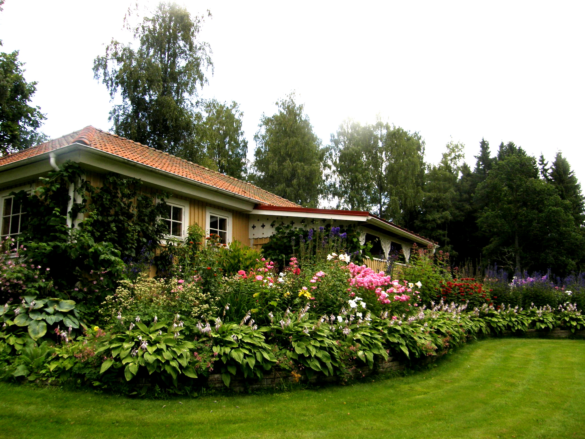 Tropiska hörnan på Villa Furuvik, Lundsberg