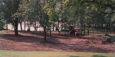 Trädgård_1989